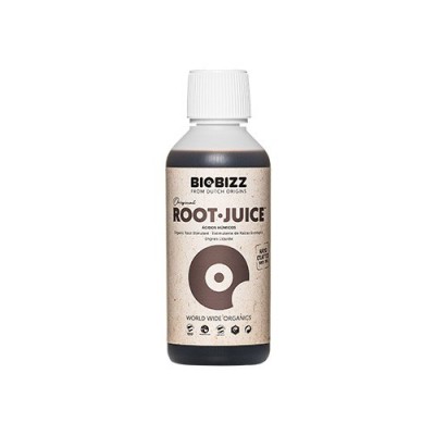 ROOT JUICE 250ML