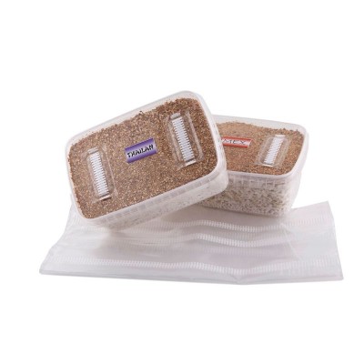 Kits Setas Colección Kits Setas Colección