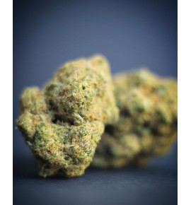 TROPIC DIESEL  5gr.